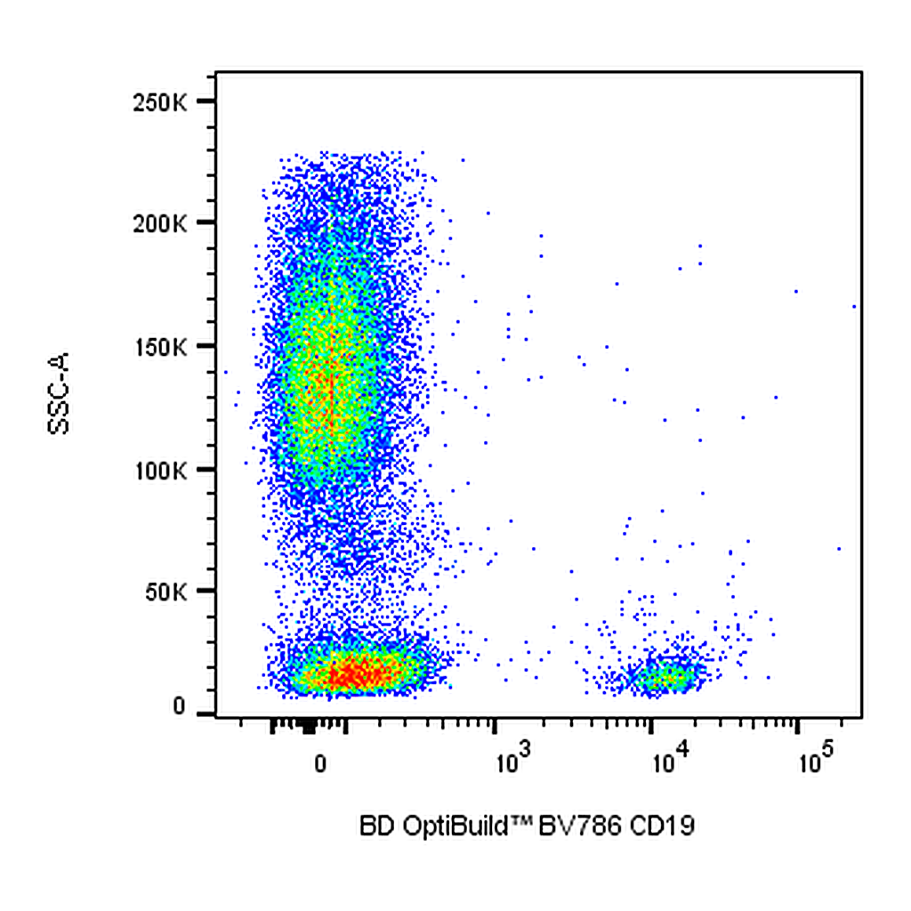 BD BV786 Mouse Anti-Human CD19