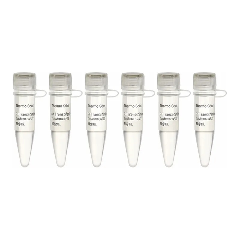 Thermo Fisher Scientific T7 RNA Polymerase, HC (200 U/μL)