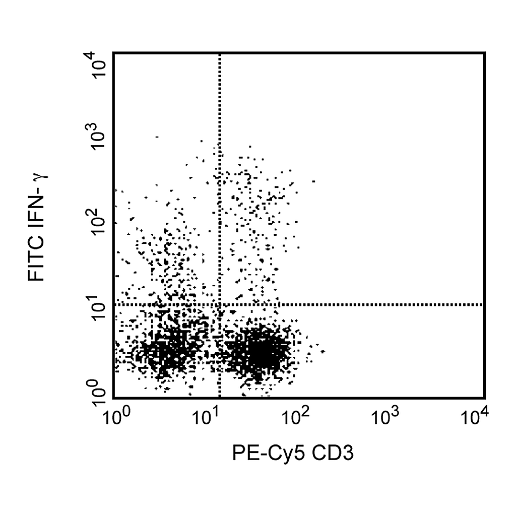 BD FITC Mouse Anti-Human IFN-γ