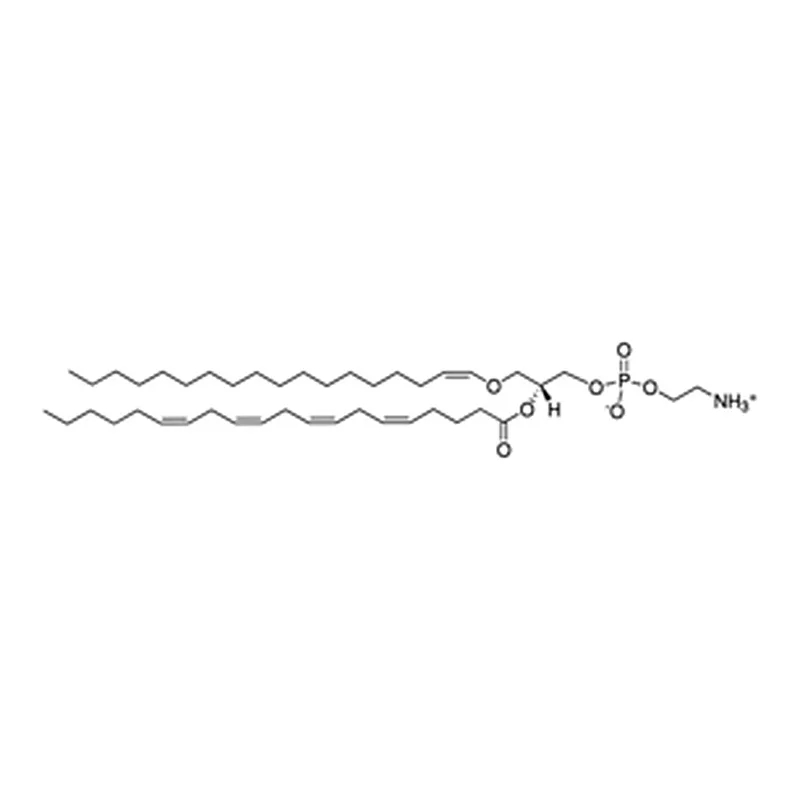 Merck C18(PLASM)-20:4 PE