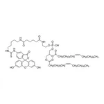 Merck FSL-Fluorescein