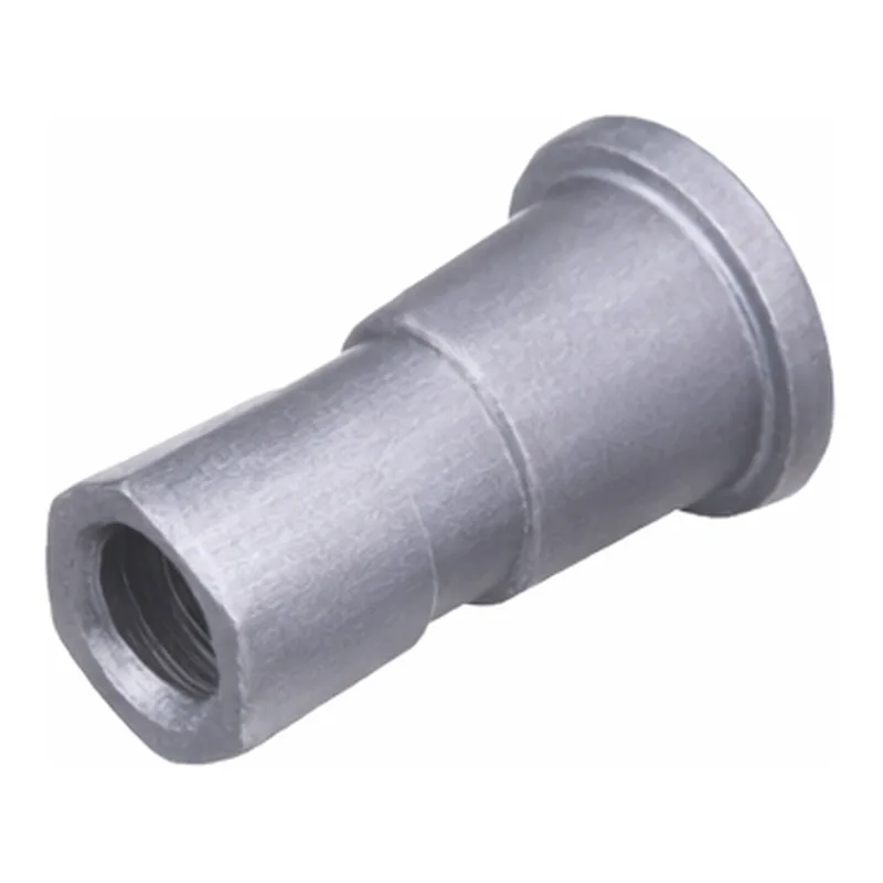 Waters Ball and Seat Outlet Check Valve (225µL)