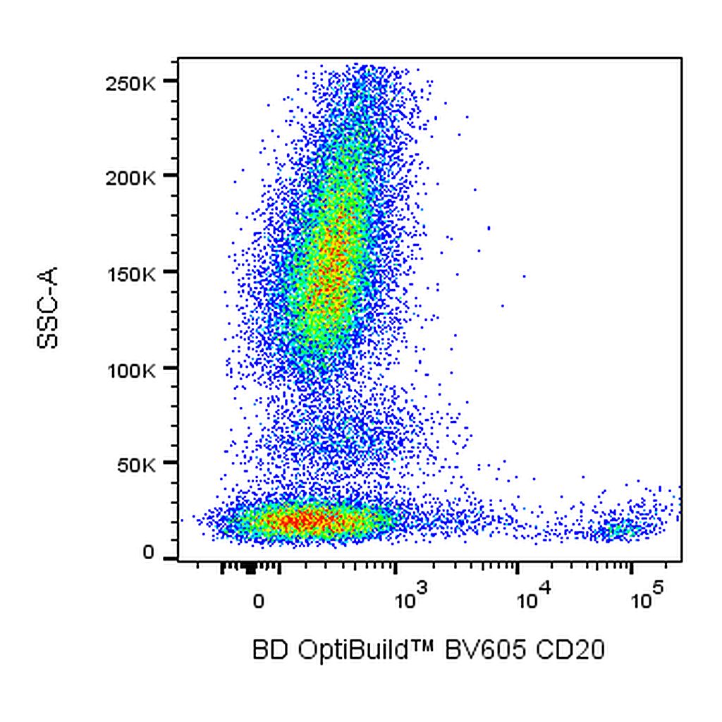 BD BV605 Mouse Anti-Human CD20