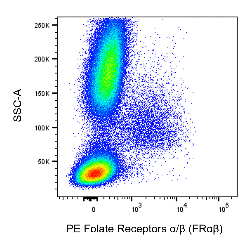 BD PE Rat Anti-Human Folate Receptors α/β (FRαβ)