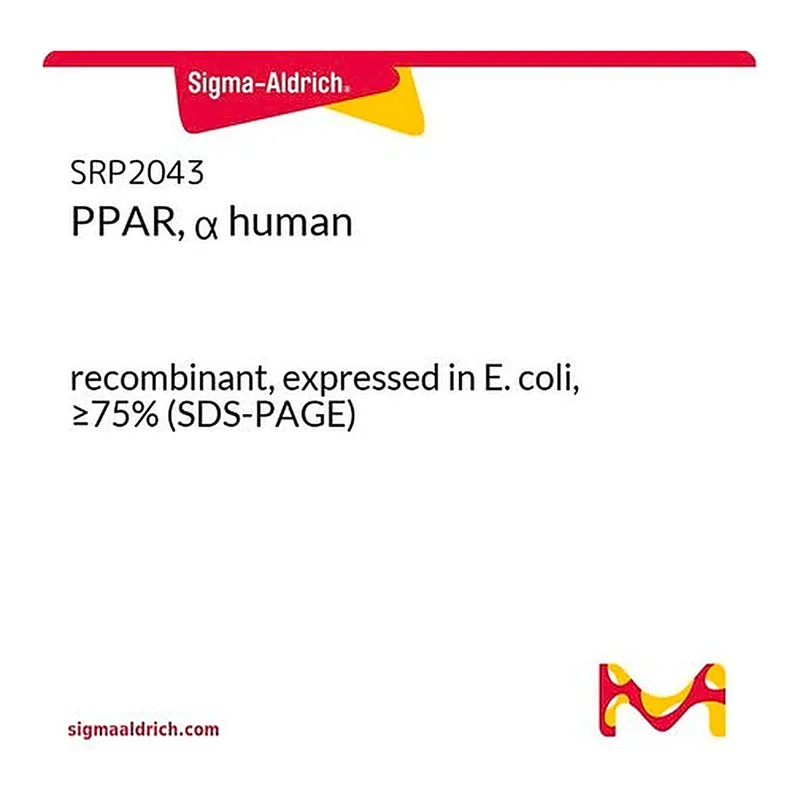Merck PPAR, alpha human