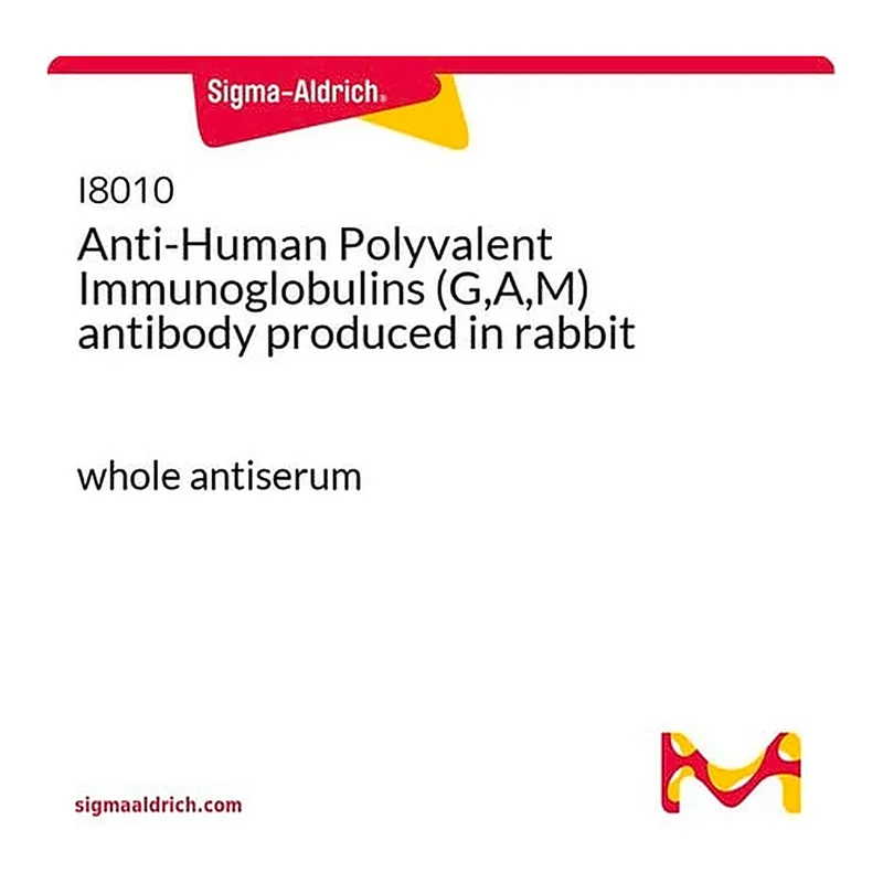 Merck Anti-Human Polyvalent Immunoglobulins (G,A,M) antibody produced in rabbit
