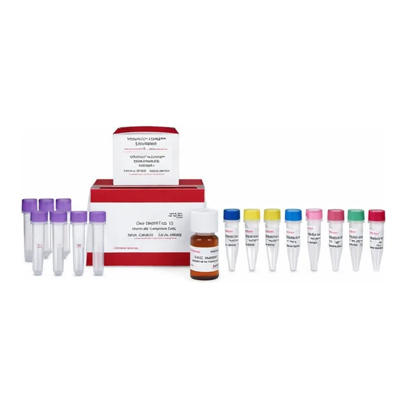 Thermo Fisher Scientific pOptiVEC-TOPO TA Cloning Kit