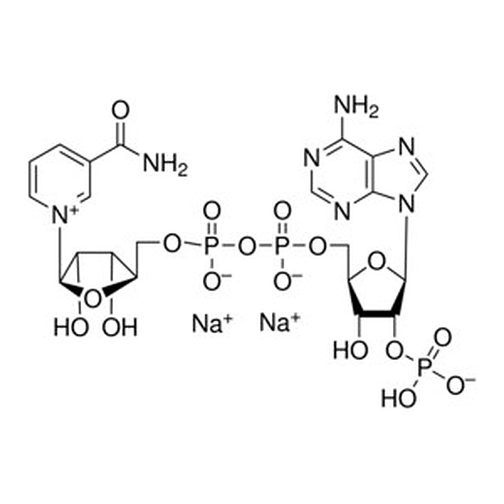 Merck B-NICOTINAMIDE ADENINE DINUCLEOTIDE PHO&