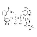 Merck B-NICOTINAMIDE ADENINE DINUCLEOTIDE PHO&