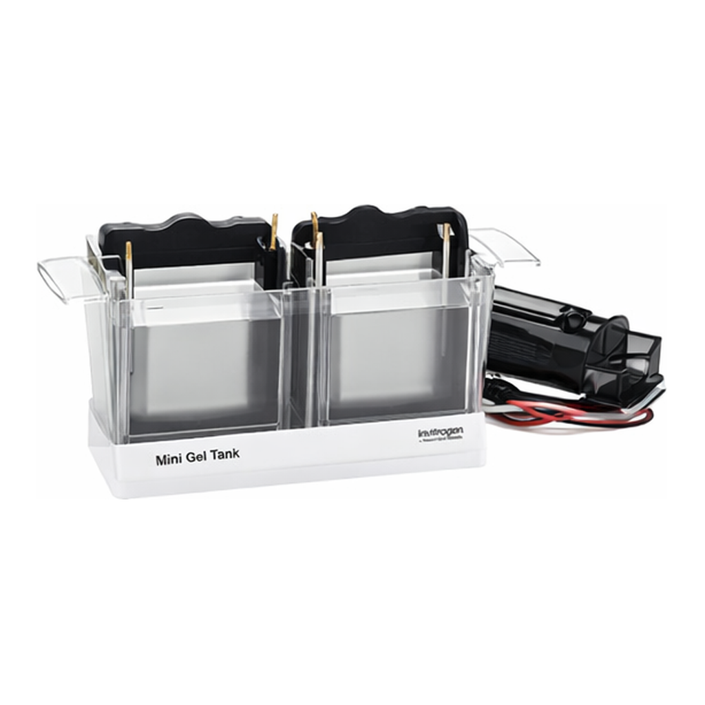 Thermo Fisher Scientific Mini Gel Tank