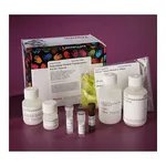 Thermo Fisher Scientific Subcellular Protein Fractionation Kit for Tissues