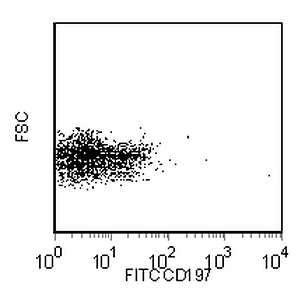 BD FITC Rat Anti-Human CCR7 (CD197)