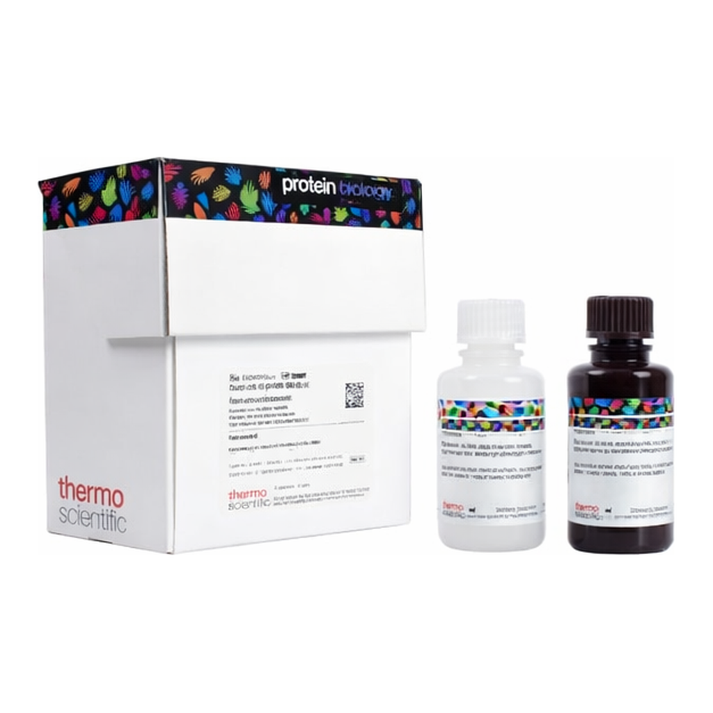 Thermo Fisher Scientific SuperSignal West Atto Ultimate Sensitivity Substrate, 20 mL