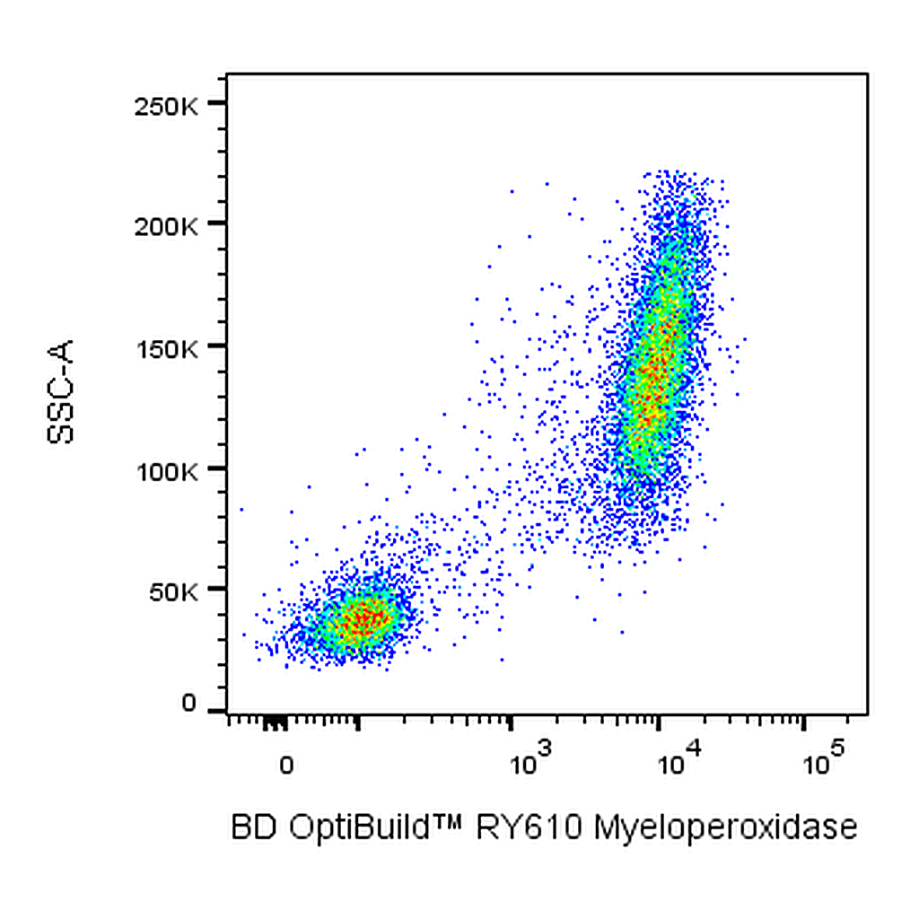 BD RY610 Mouse Anti-Human Myeloperoxidase