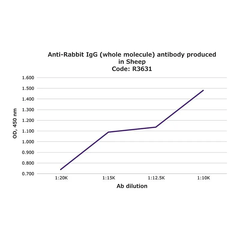 Merck Anti-Rabbit IgG (whole molecule) antibody produced in sheep