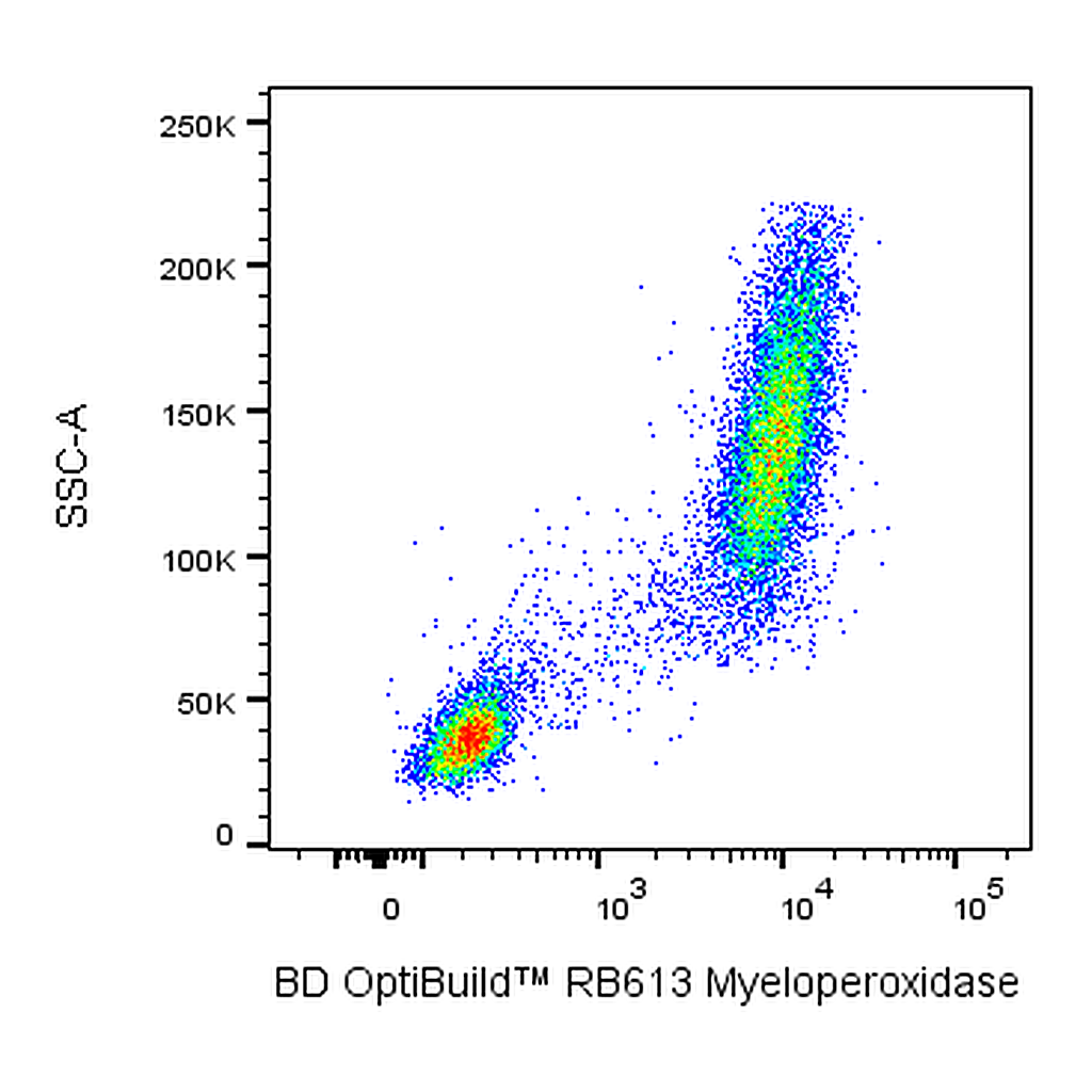 BD RB613 Mouse Anti-Human Myeloperoxidase