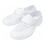 AS ONE Antistatic Clean Shoes, 제전 방진화