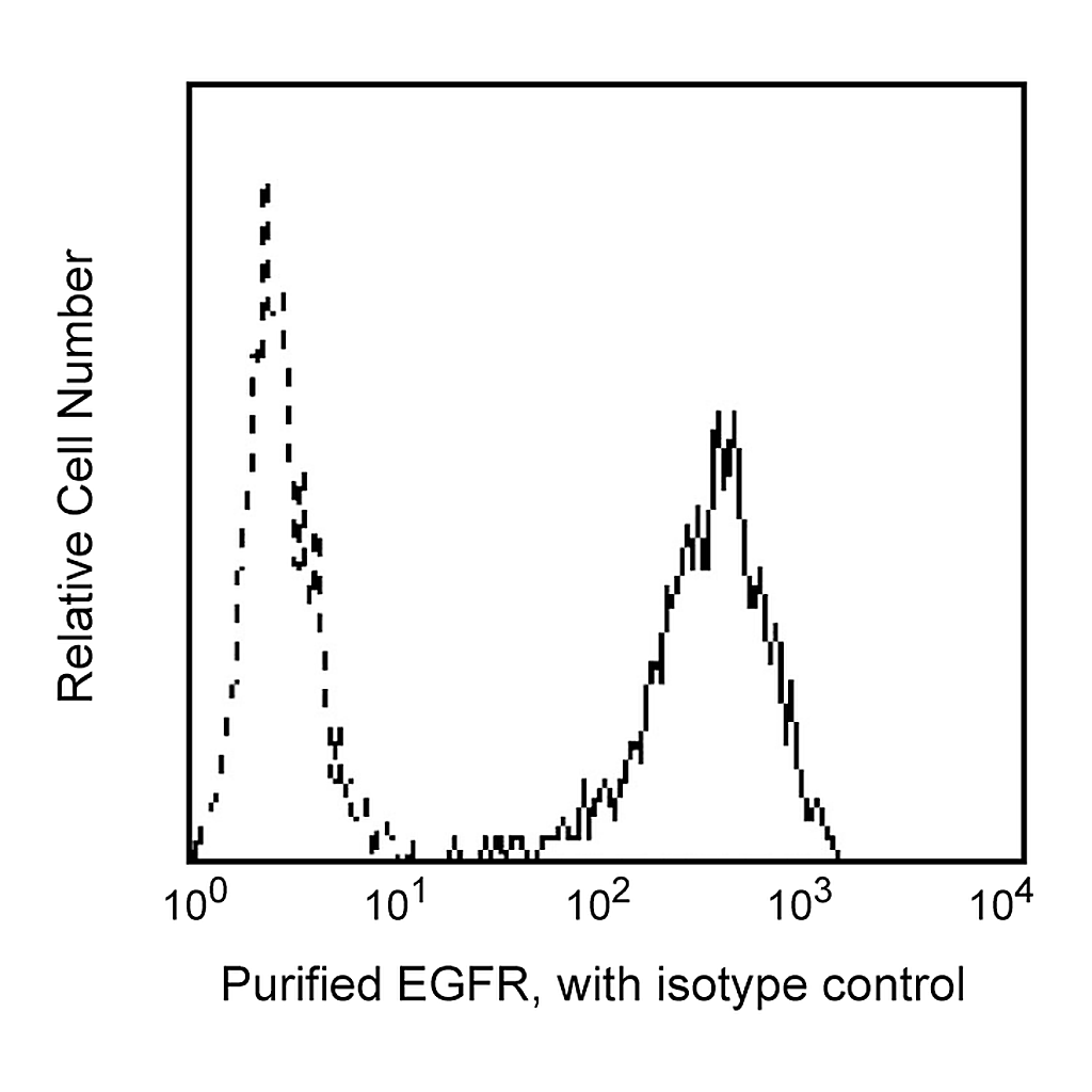 BD Purified Mouse Anti-Human EGF Receptor