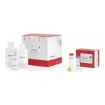 Thermo Fisher Scientific Easy-DNA gDNA Purification Kit