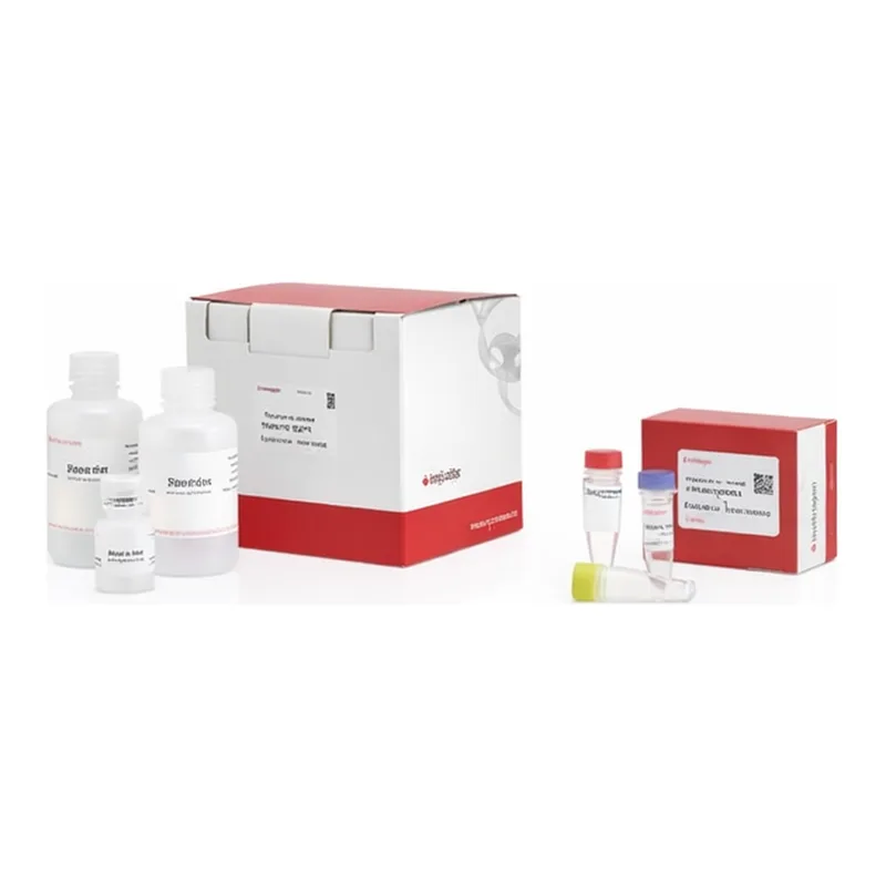 Thermo Fisher Scientific Easy-DNA gDNA Purification Kit