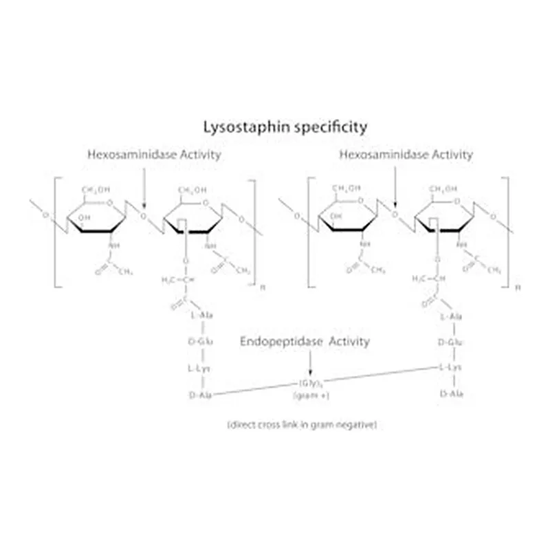 Merck LYSOSTAPHIN FROM STAPHYLOCOCCUS STAPHYLO