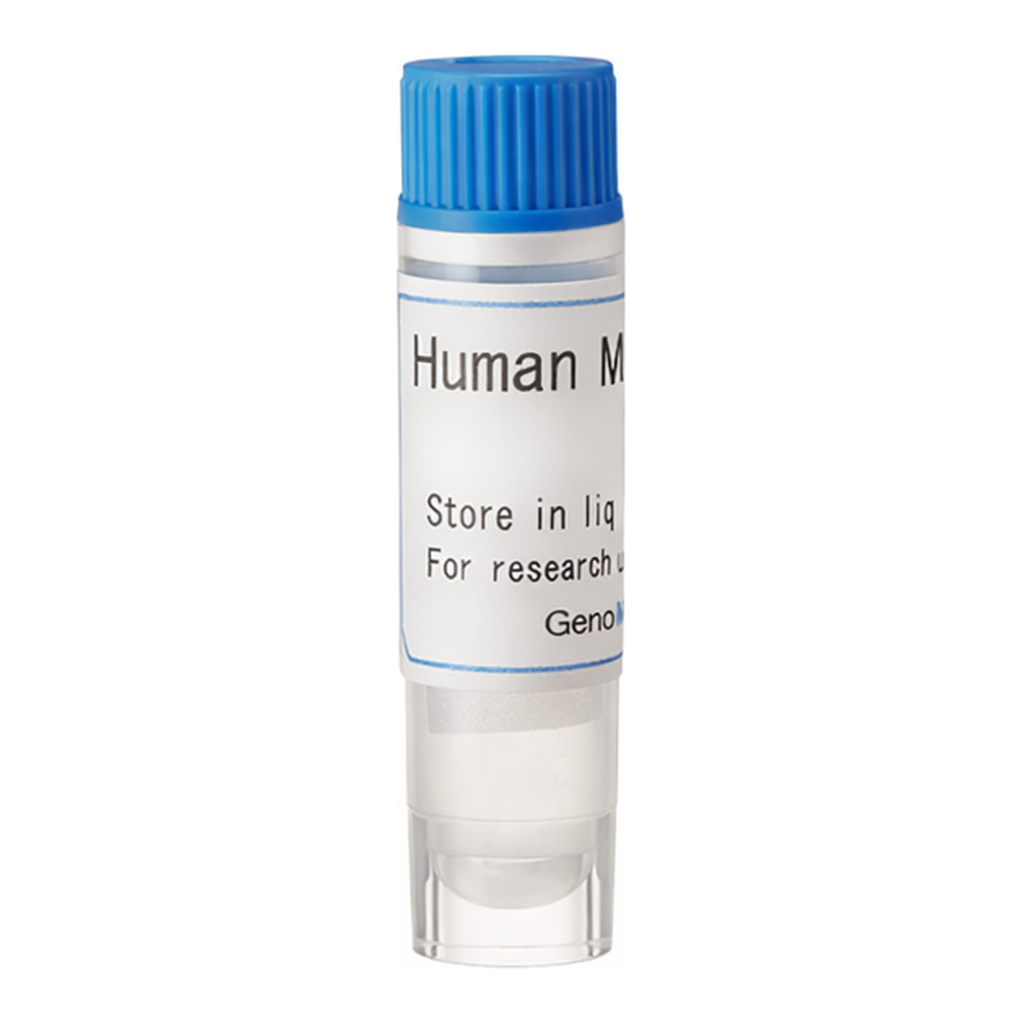 Thermo Fisher Scientific Mock (G) SLC Transporter Cells