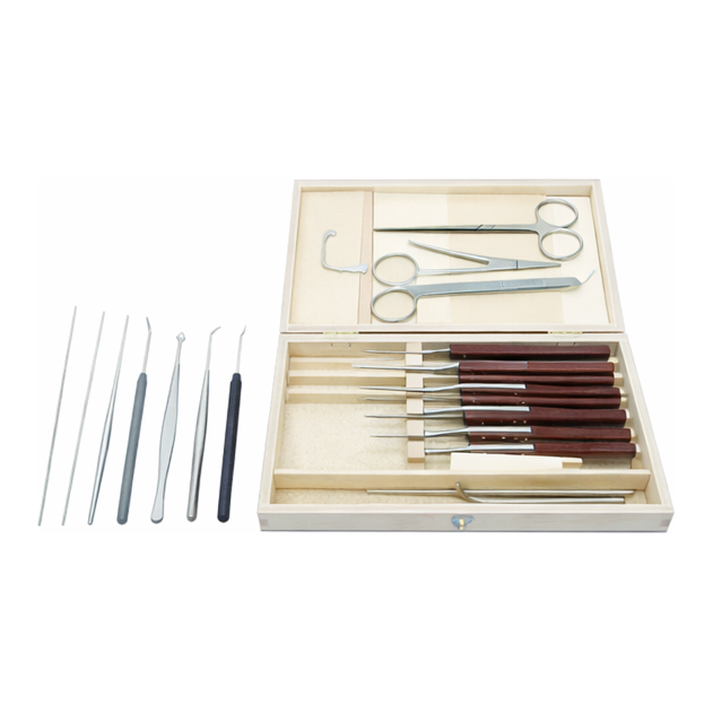HAMMACHER Microscopic Dissecting Set