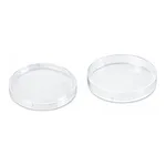 SciLab Wisd Φ65 PS Contact Dish