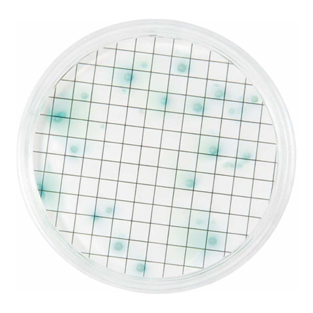 Merck Pseudomonas Broth