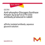 Merck Anti-phospho-Glycogen Synthase Kinase 3alpha/beta (pTyr279/216) antibody produced in rabbit
