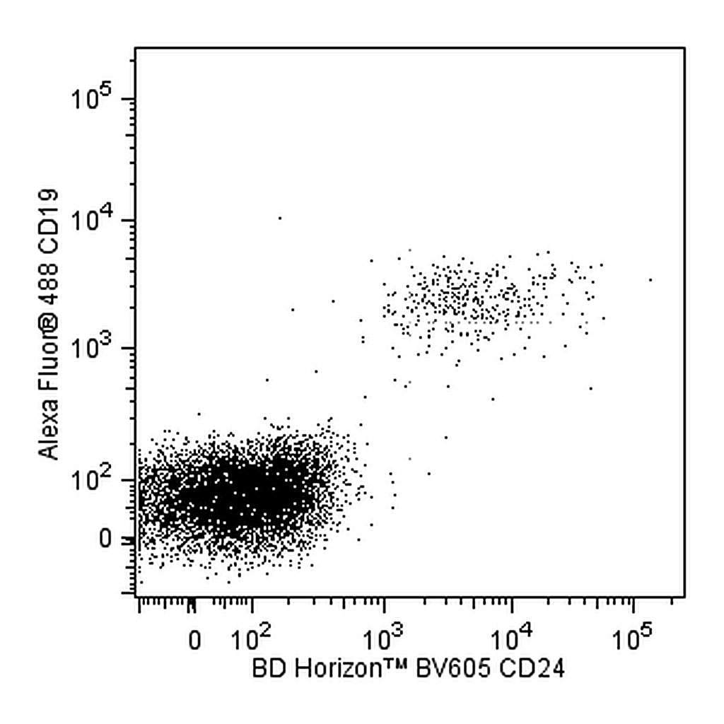 BD BV605 Mouse Anti-Human CD24