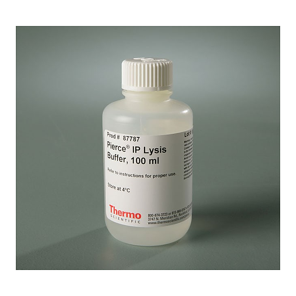 Thermo Fisher Scientific Pierce IP Lysis Buffer, 100 mL