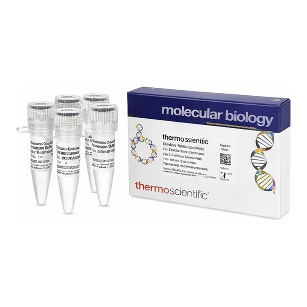 Thermo Fisher Scientific Dilution Buffer for Restriction Enzymes