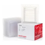 Thermo Fisher Scientific Novex TBE-Urea Gels, 10%, 12-well, 10 Gels/Box