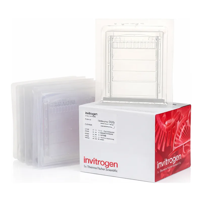 Thermo Fisher Scientific Novex TBE-Urea Gels, 10%, 12-well, 10 Gels/Box