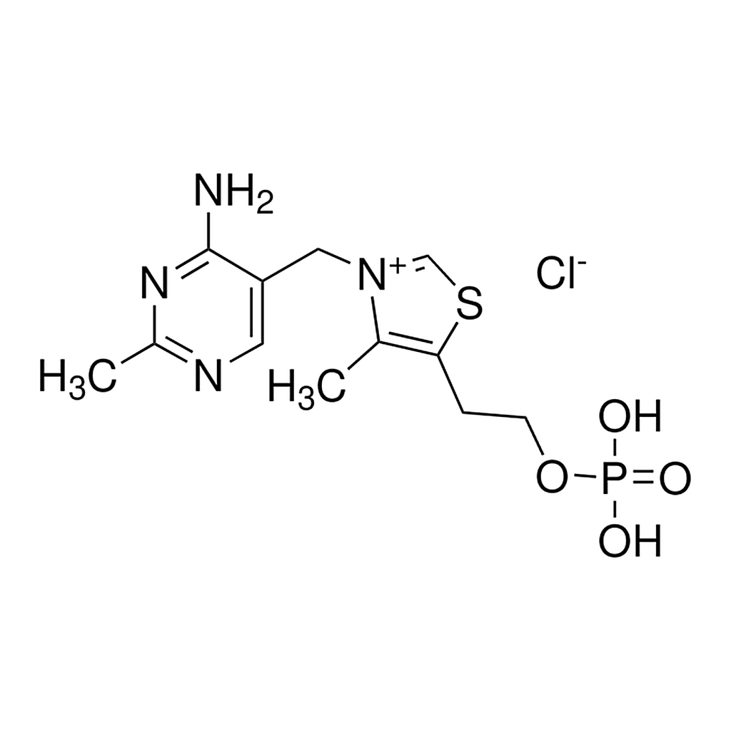 Merck THIAMINE MONOPHOSPHATE CHLORIDE        &