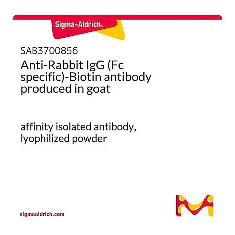 Merck Anti-Rabbit IgG (Fc specific)-Biotin antibody produced in goat