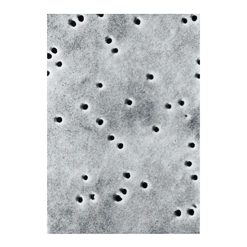 Thermo Fisher Scientific PCTE Filter Membranes: Plain Hydrophilic