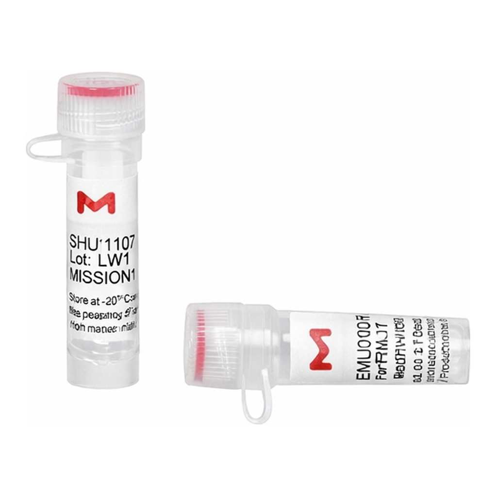 Merck MISSION(R) esiRNA