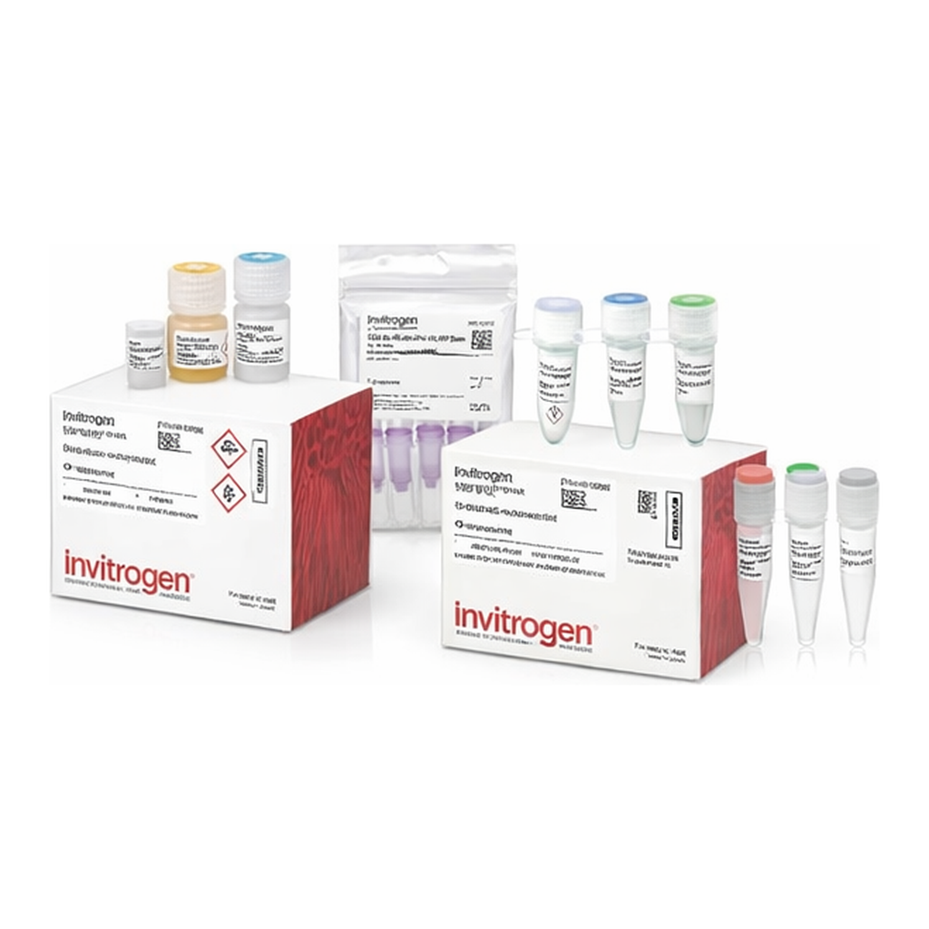 Thermo Fisher Scientific TrueTag Donor DNA Kit, RFP stem
