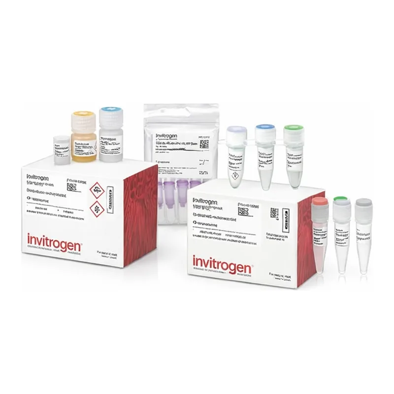 Thermo Fisher Scientific TrueTag Donor DNA Kit, RFP stem