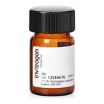Thermo Fisher Scientific Cascade Blue hydrazide, Trilithium Salt
