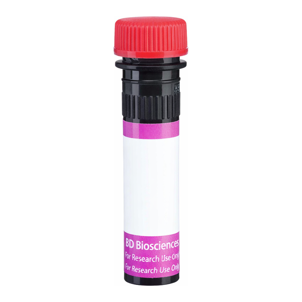 BD BV711 Mouse Anti-Human Delta-Like Protein 4