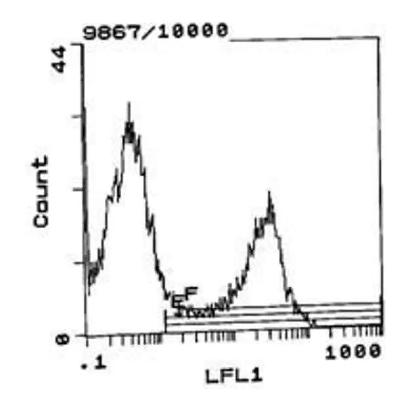 Thermo Fisher Scientific Mouse anti-Rat Kappa Light Chain Secondary Antibody, Biotin