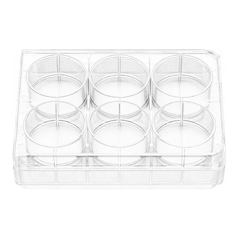 LABSELECT Cell culture plate, Ultra-low attachment