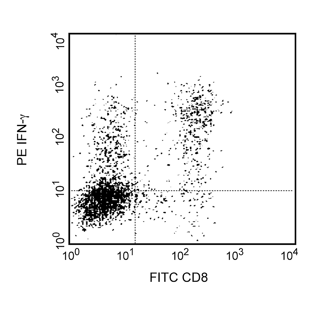 BD Purified Rat Anti-Mouse IFN-γ