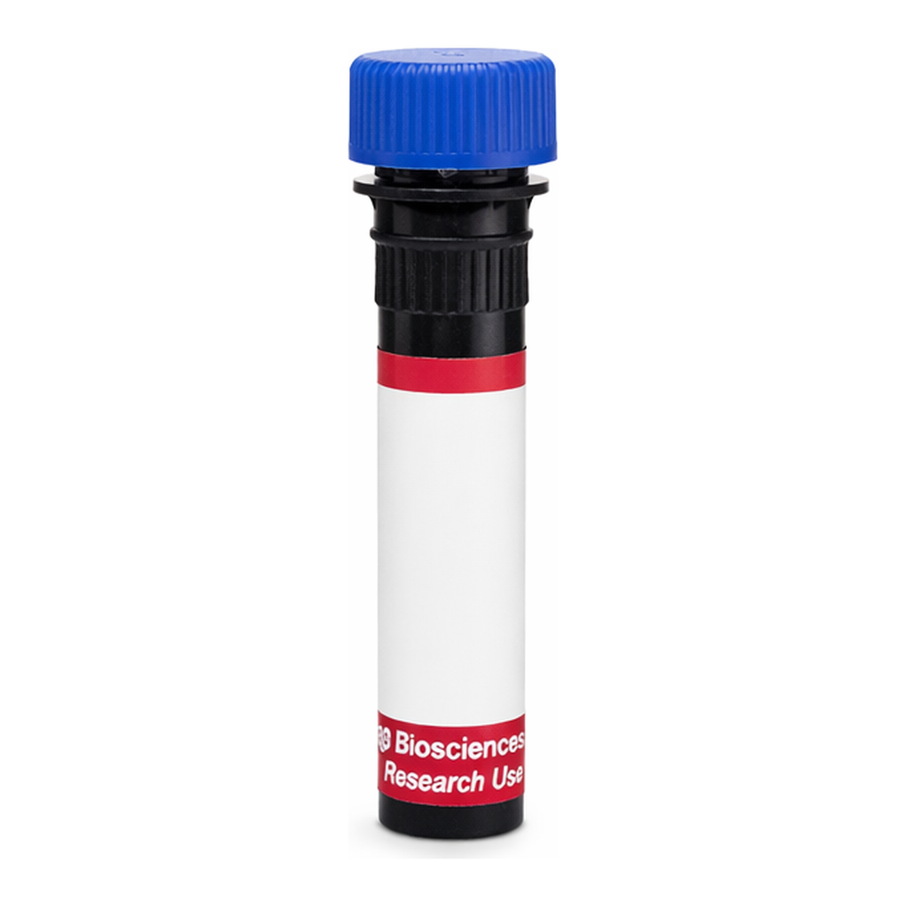 BD R718 Mouse Anti-Human RORγt