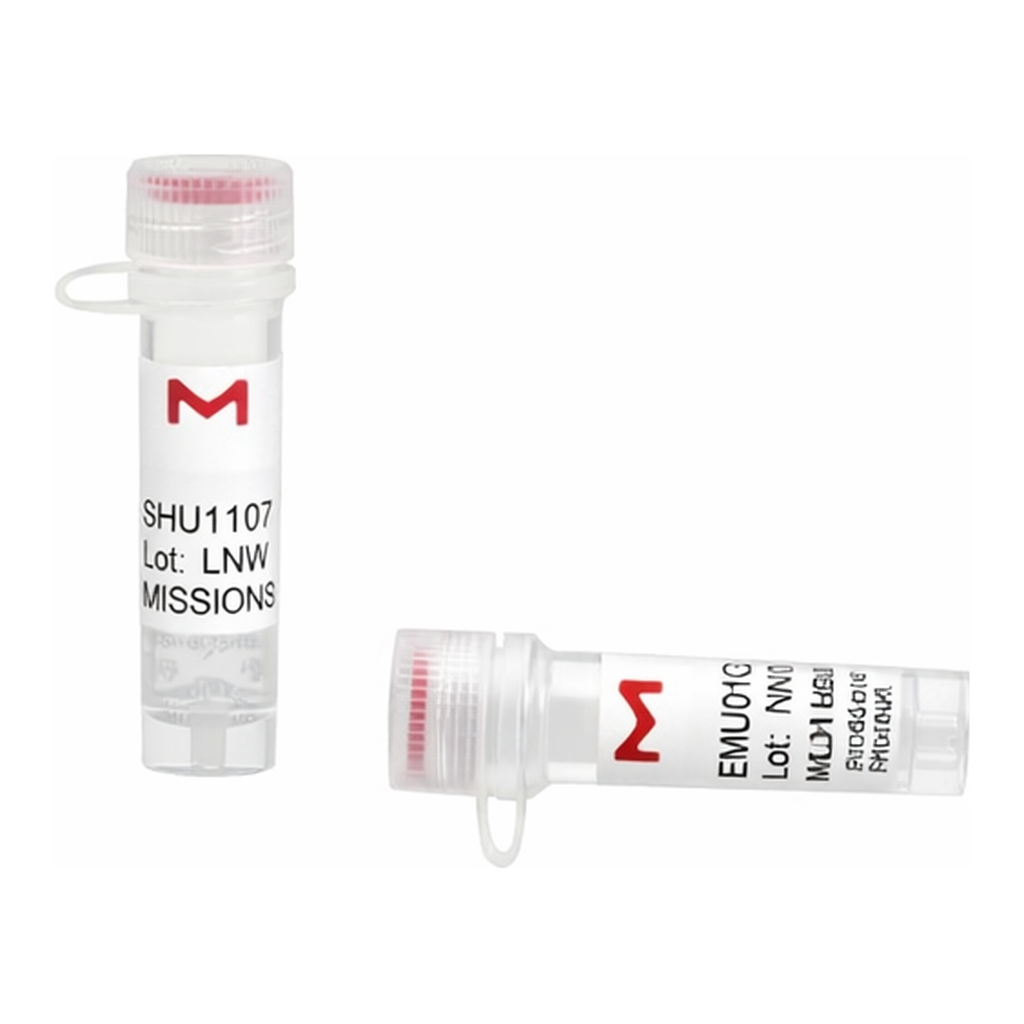 Merck MISSION(R) esiRNA