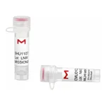 Merck MISSION(R) esiRNA