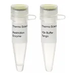 Thermo Fisher Scientific PdmI (XmnI) (10 U/μL), 500 units